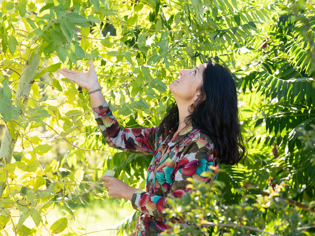 Accompagnement en œnologie pour des vins authentiques et qualitatifs