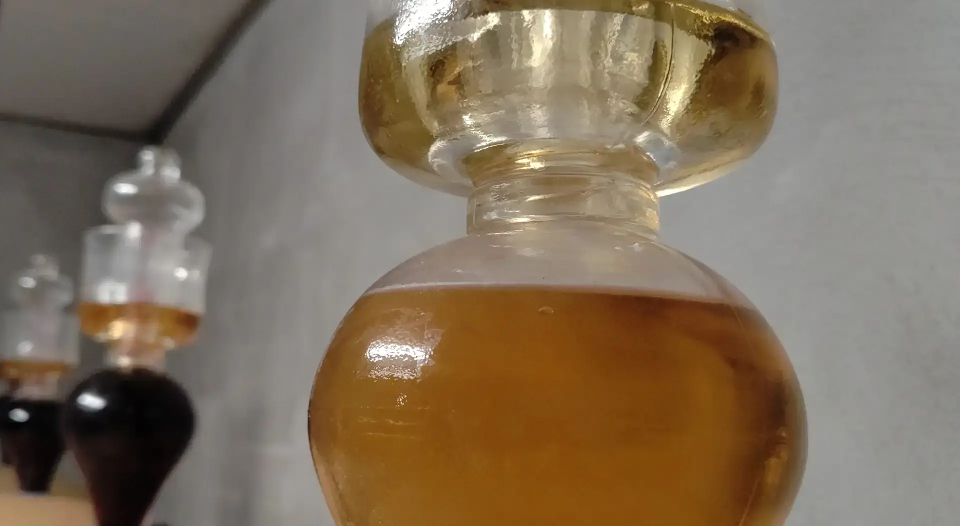 Accompagnement oenologique in situ pour optimiser la vinification et améliorer la qualité des vins